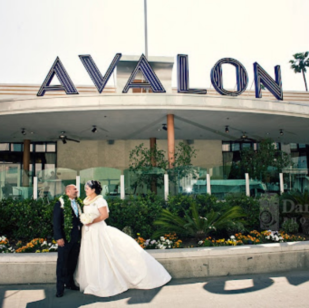 2009 Plus Size Vera Wang Wedding Dress